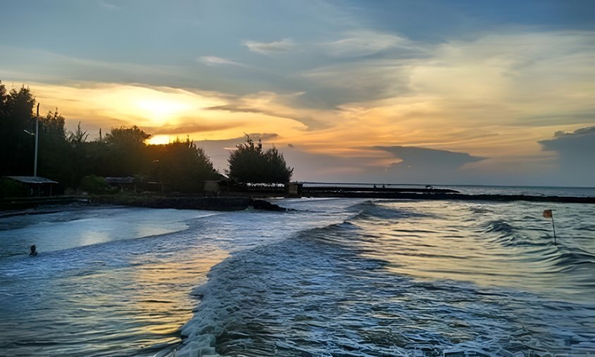 Pemandangan deretan pohon cemara laut di Pantai Muarareja Tegal