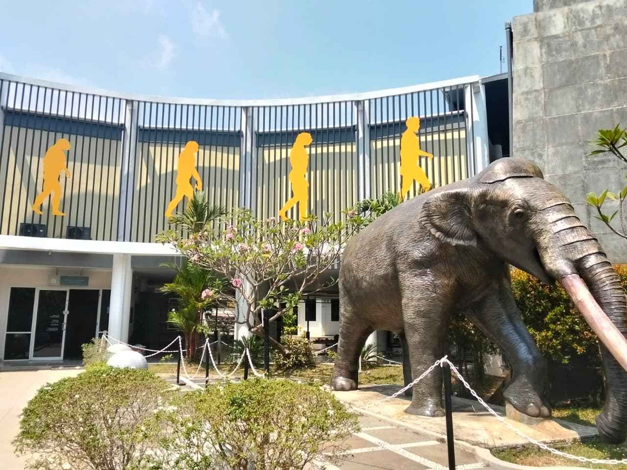 museum semedo